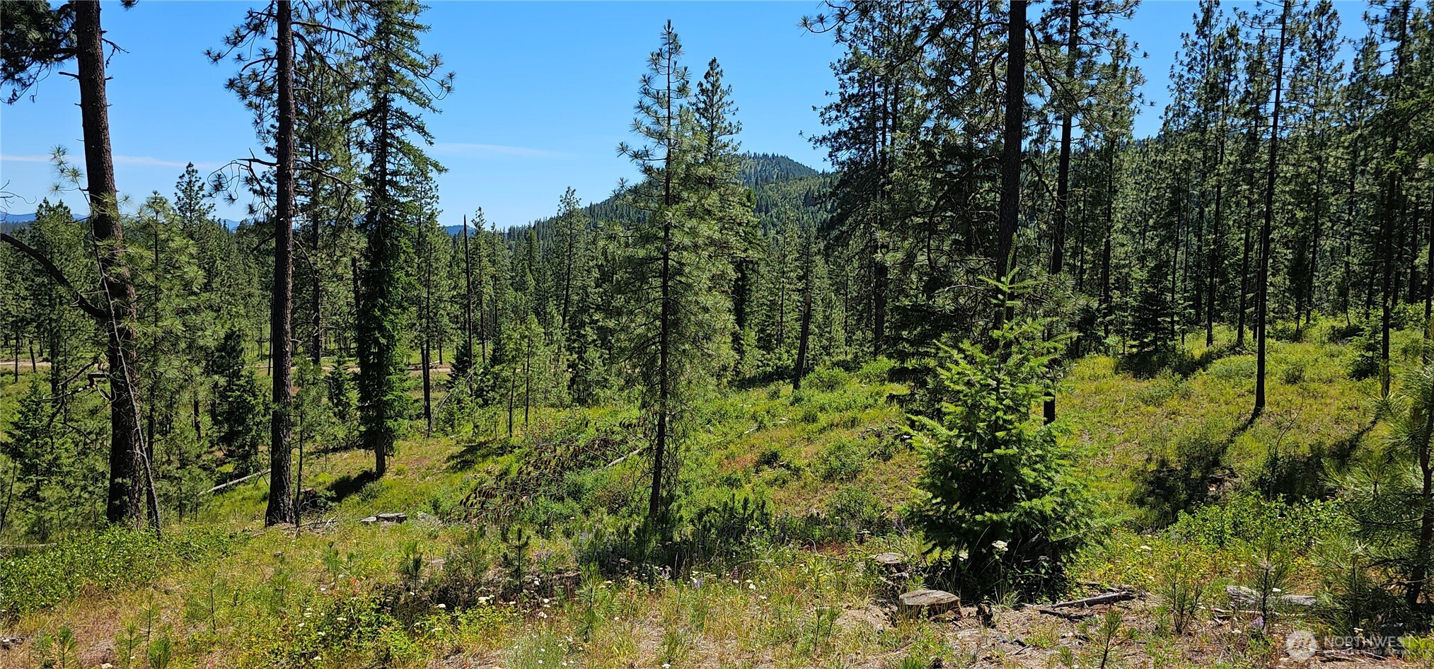 20 X Lynx Road Property Photo 23
