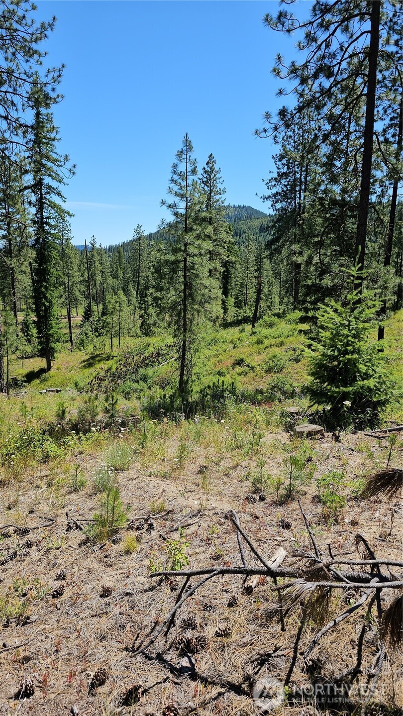 20 X Lynx Road Property Photo 24