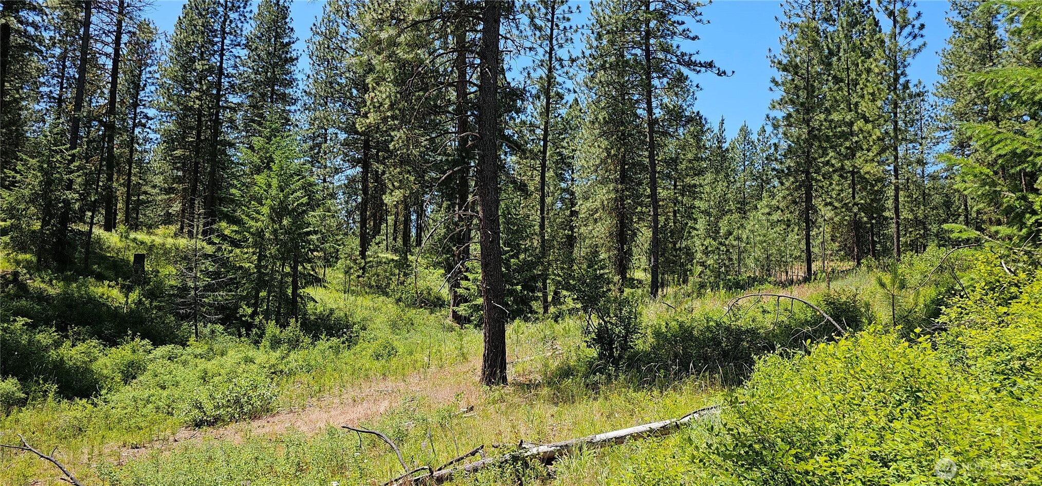 20 X Lynx Road Property Photo 25