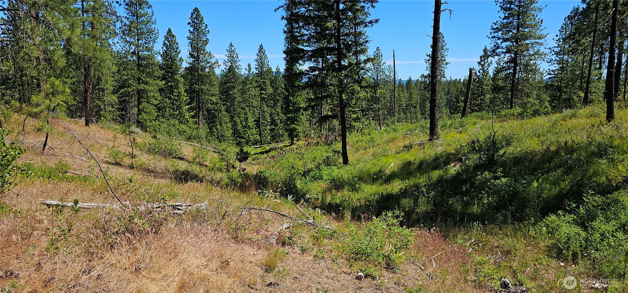 20 X Lynx Road Property Photo 26