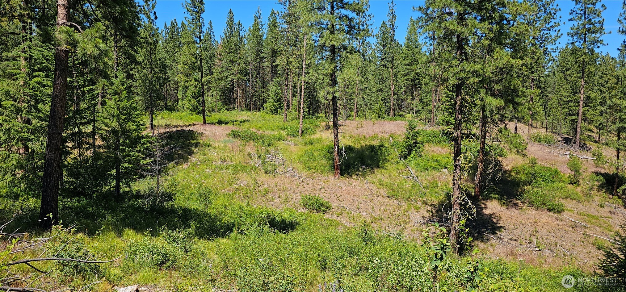 20 X Lynx Road Property Photo 27