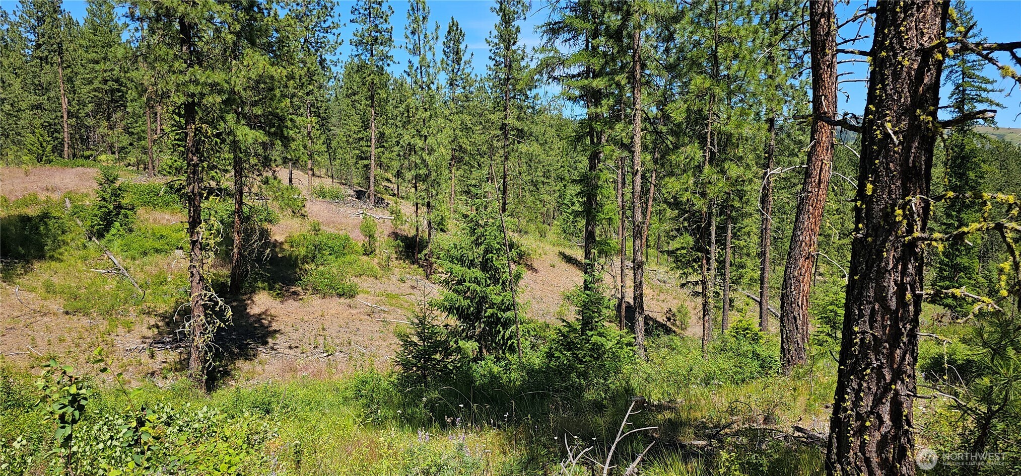 20 X Lynx Road Property Photo 28