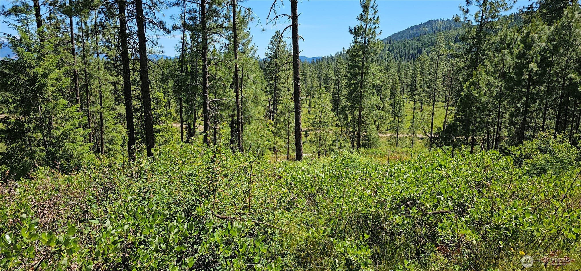 20 X Lynx Road Property Photo 29