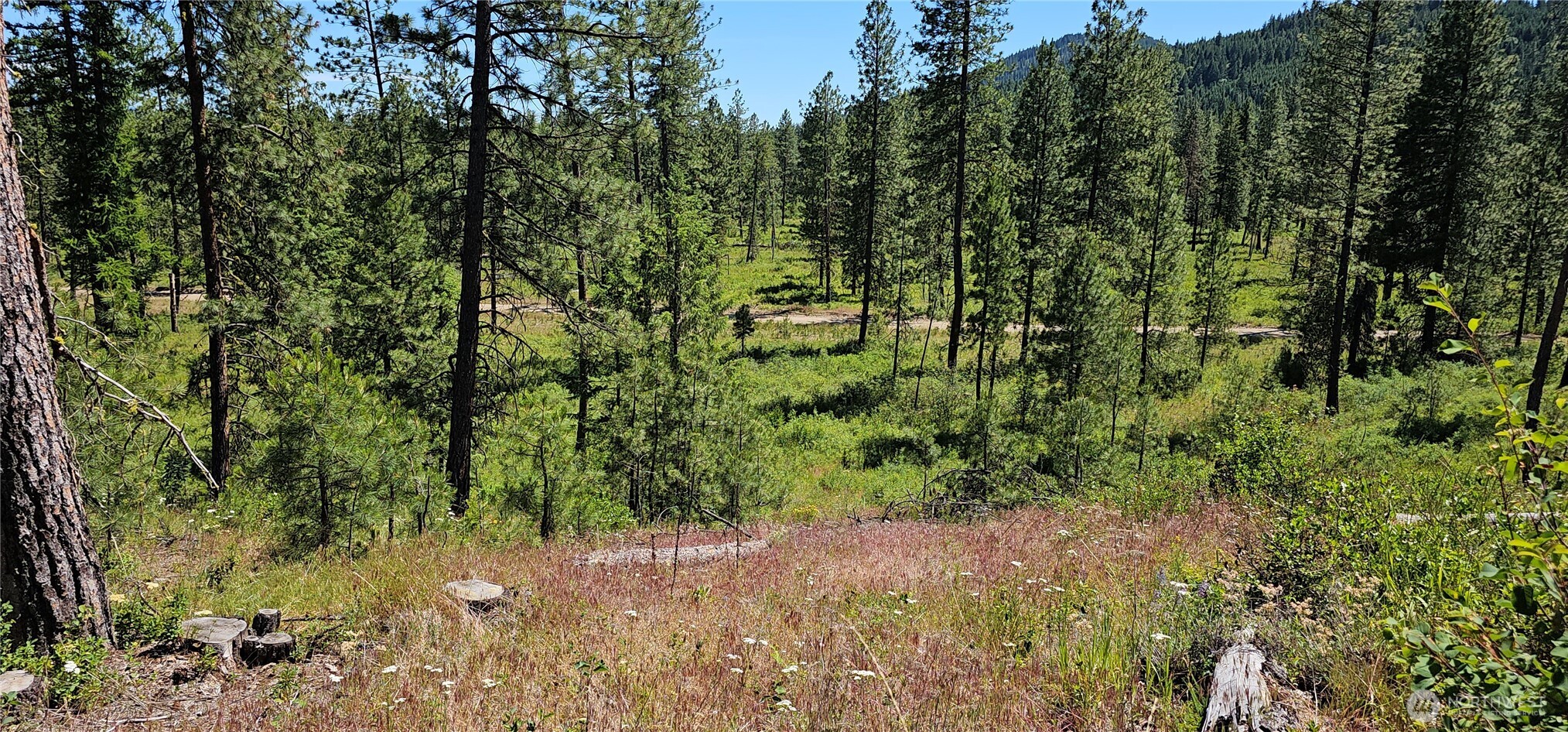 20 X Lynx Road Property Photo 30
