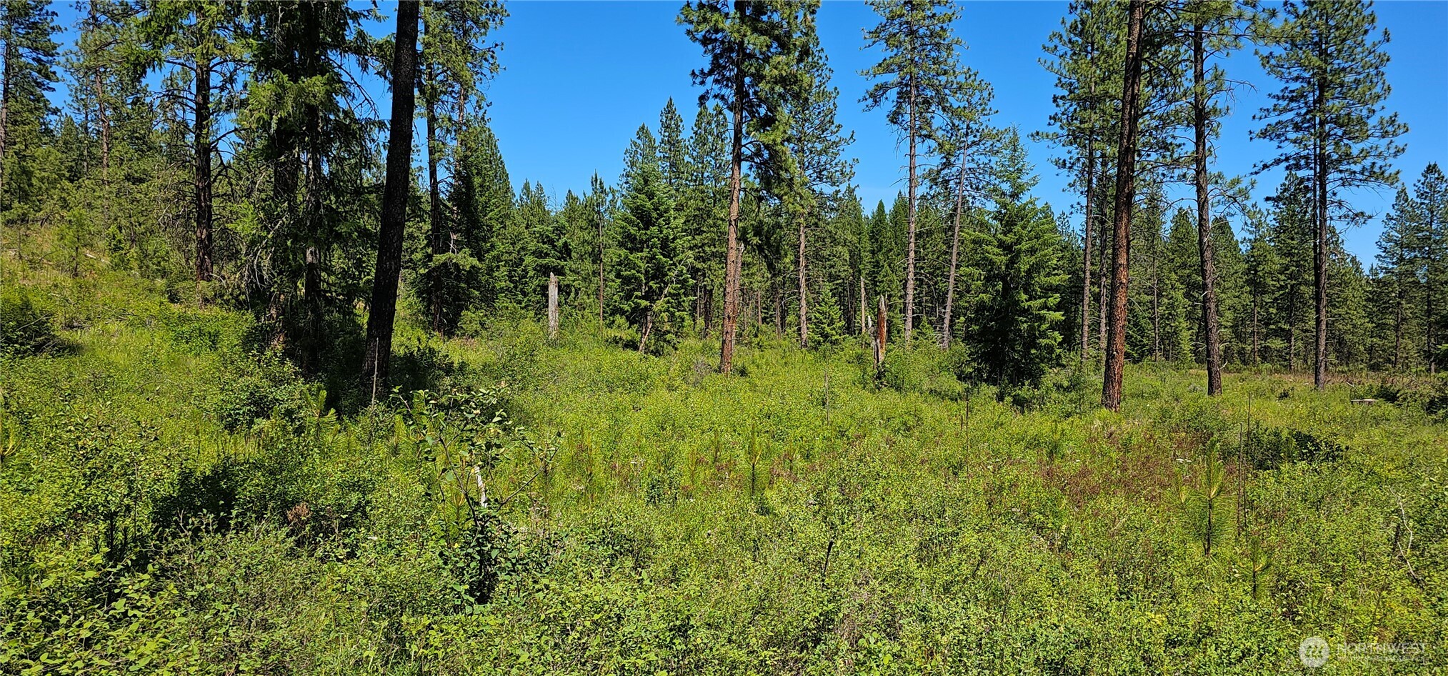 20 X Lynx Road Property Photo 31