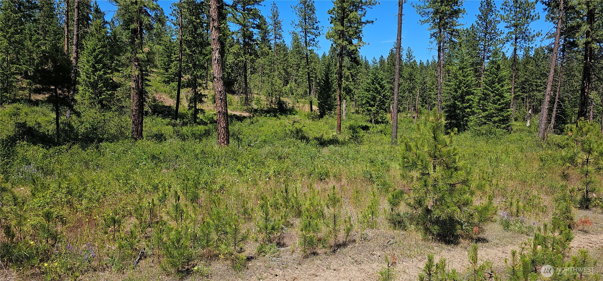 20 X Lynx Road Property Photo 32