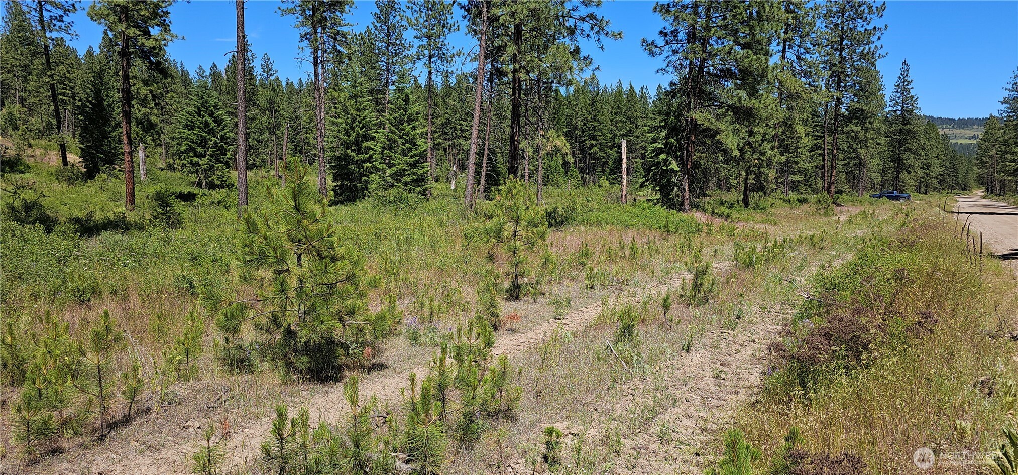 20 X Lynx Road Property Photo 33