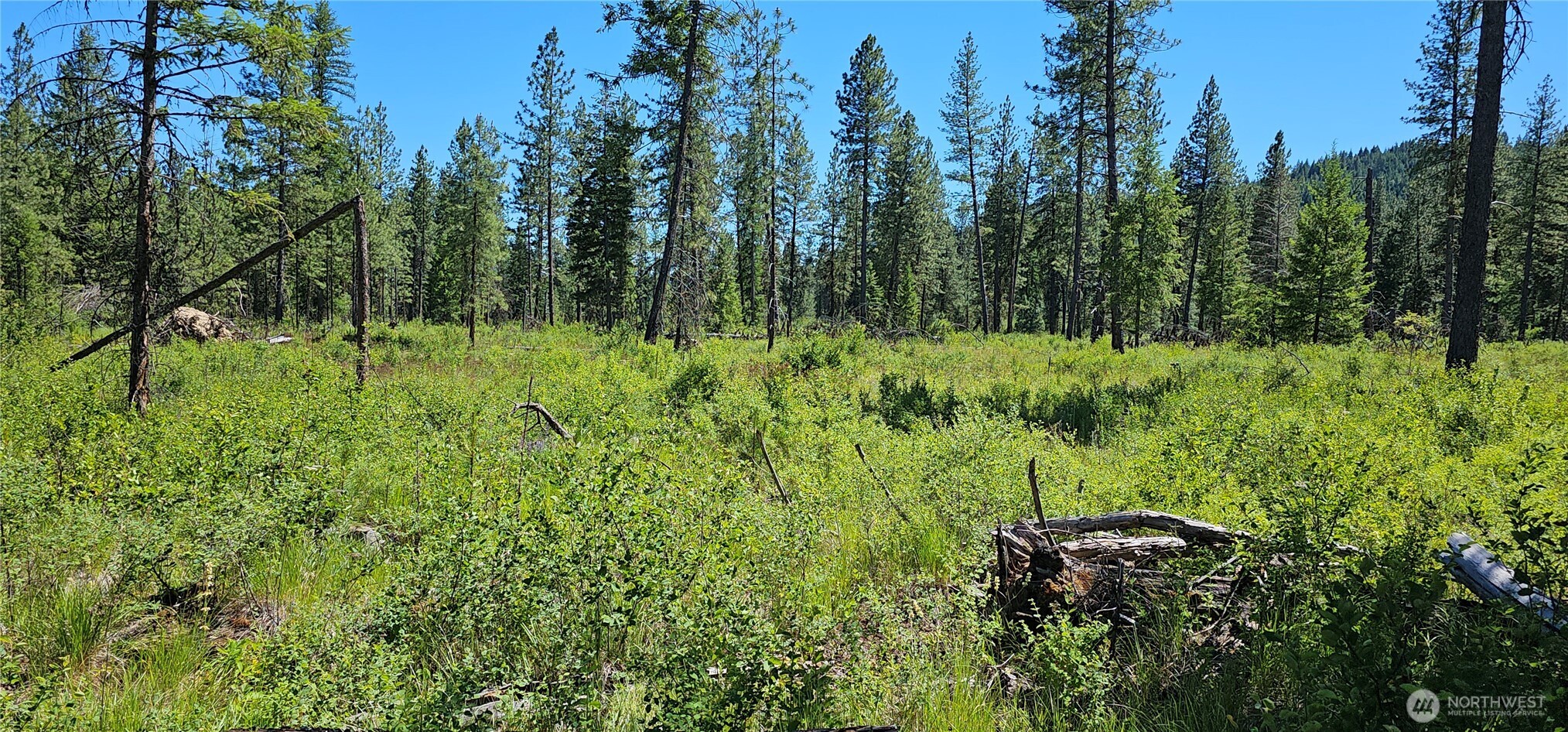 20 X Lynx Road Property Photo 34