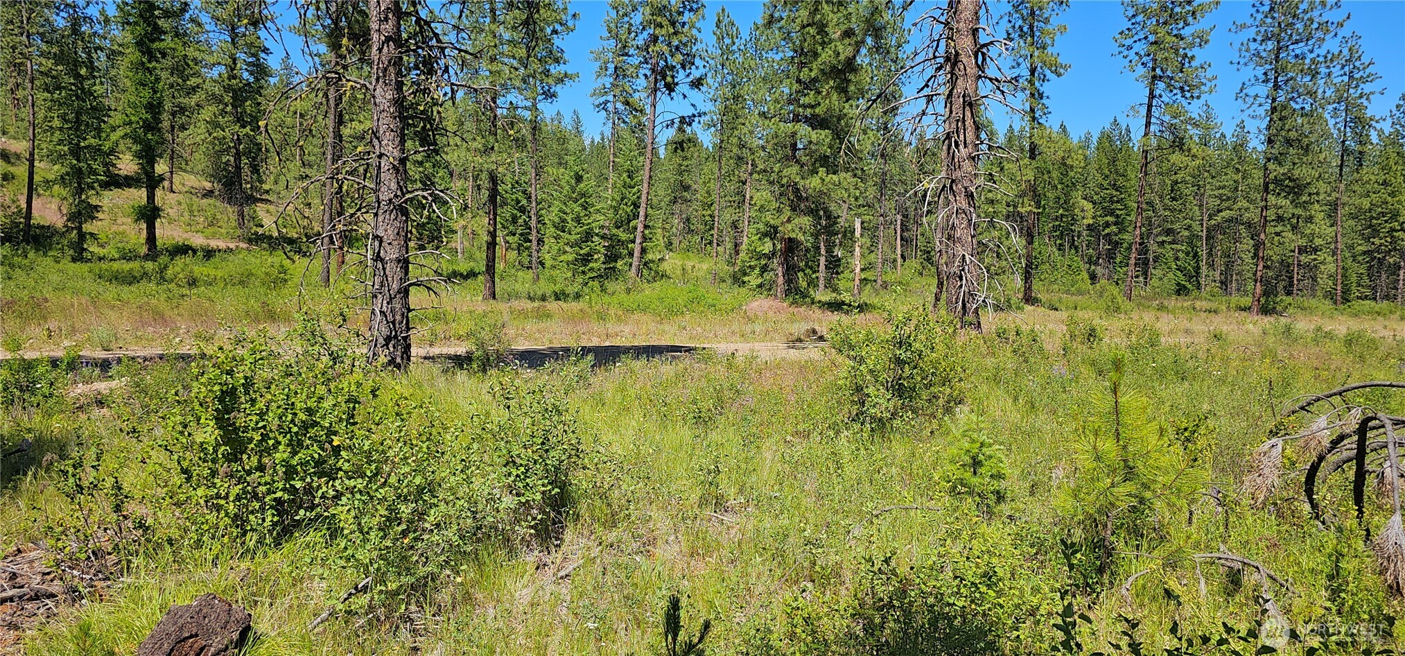 20 X Lynx Road Property Photo 35