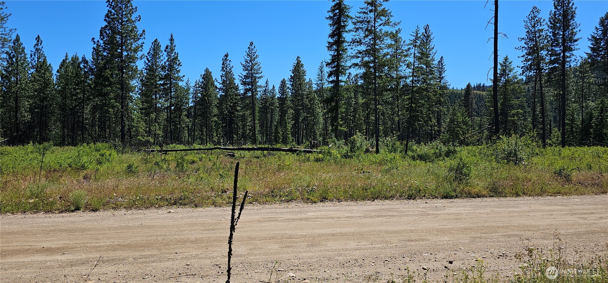 20 X Lynx Road Property Photo 36