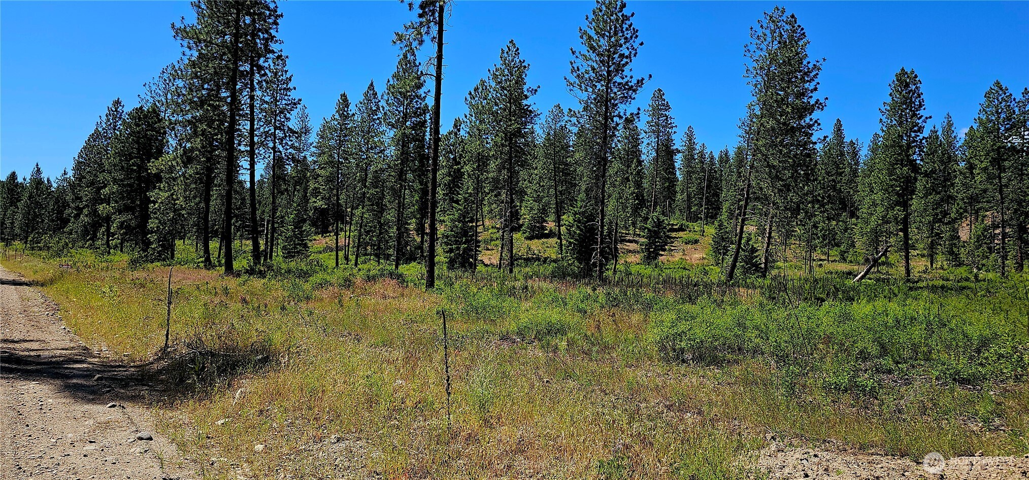 20 X Lynx Road Property Photo 37