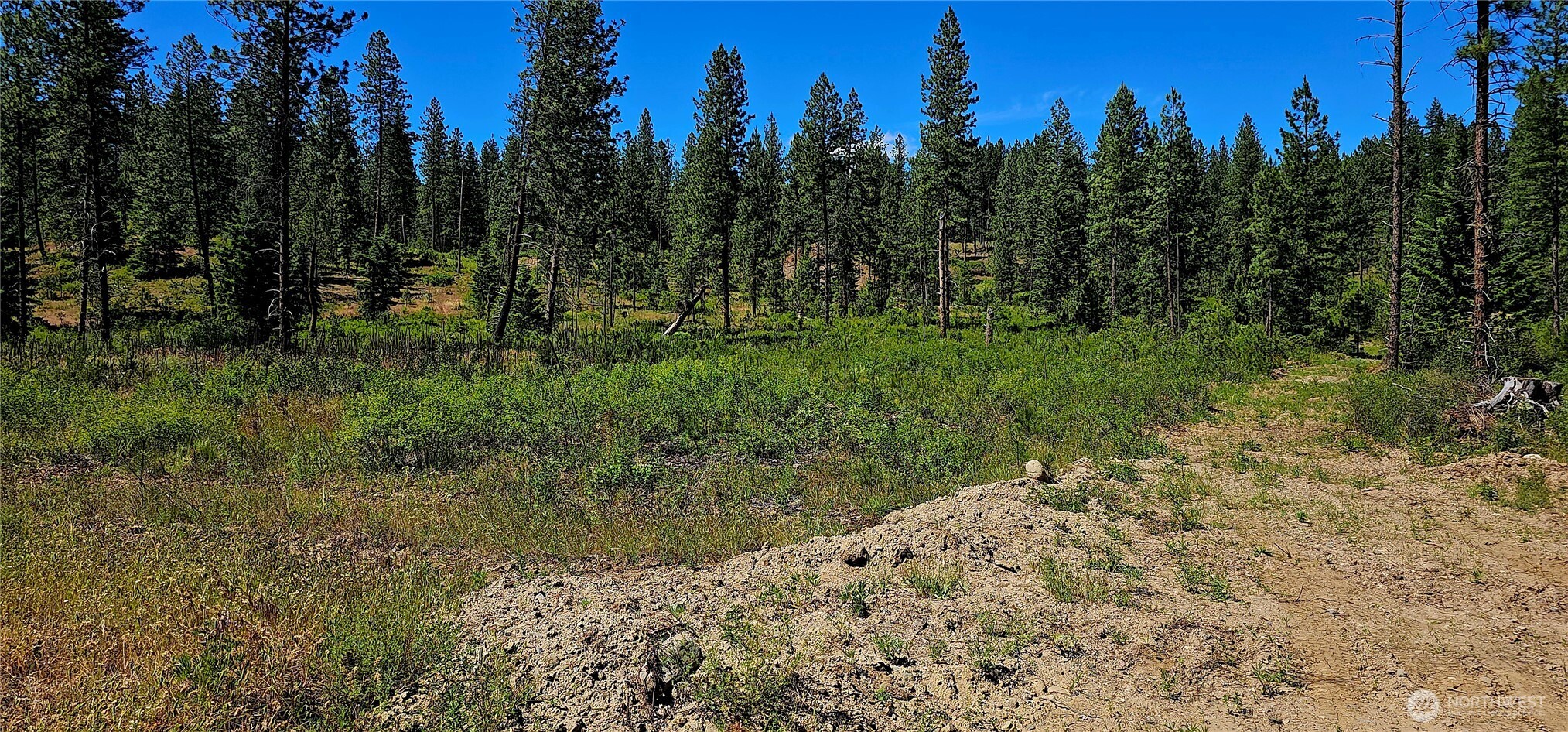 20 X Lynx Road Property Photo 38