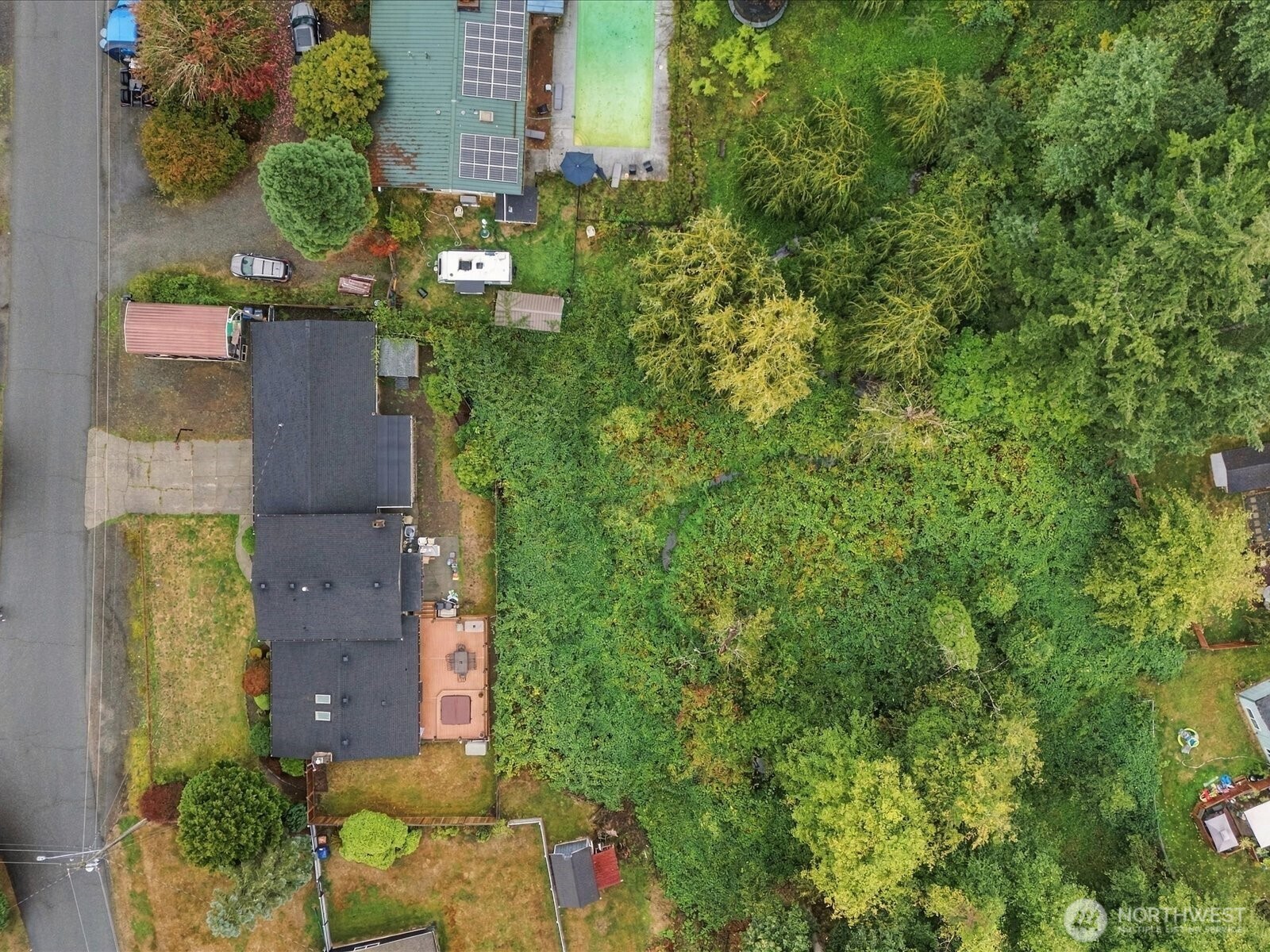 13231 Quil Scenic Drive Property Photo 5