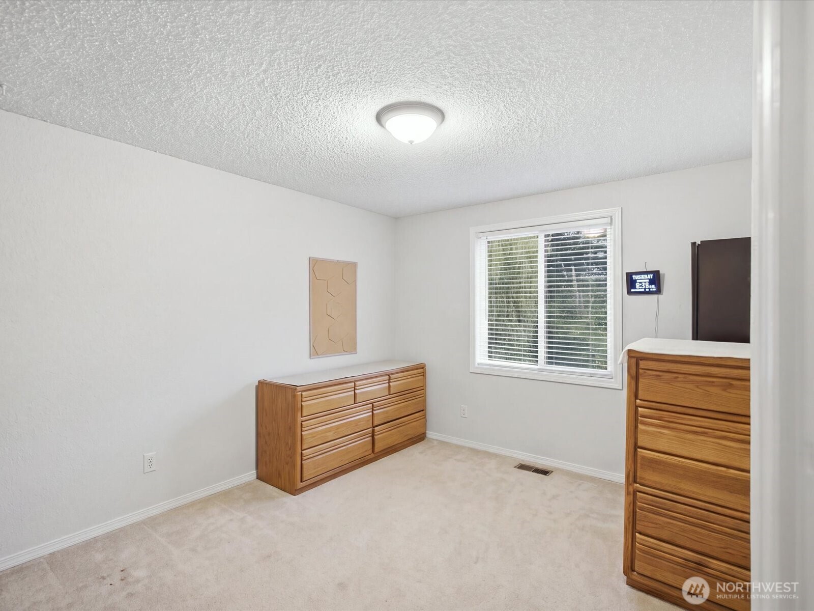13231 Quil Scenic Drive Property Photo 19