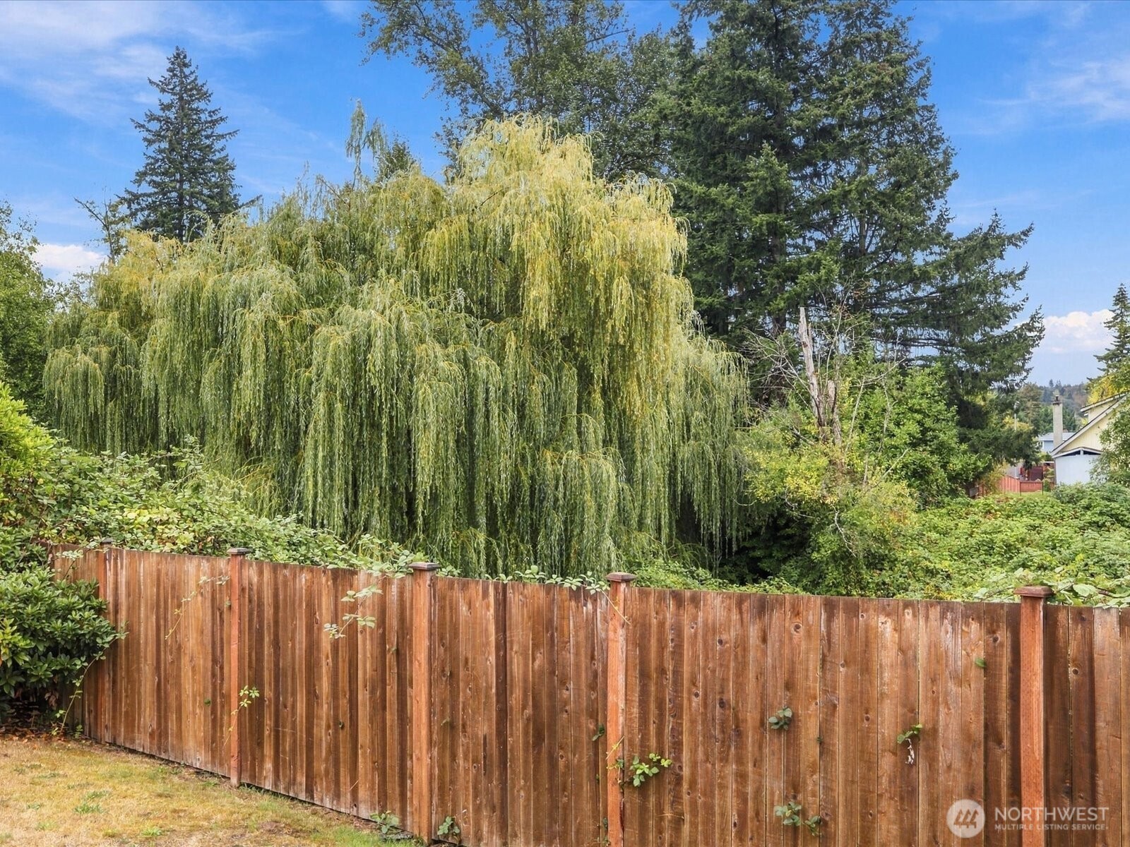 13231 Quil Scenic Drive Property Photo 37