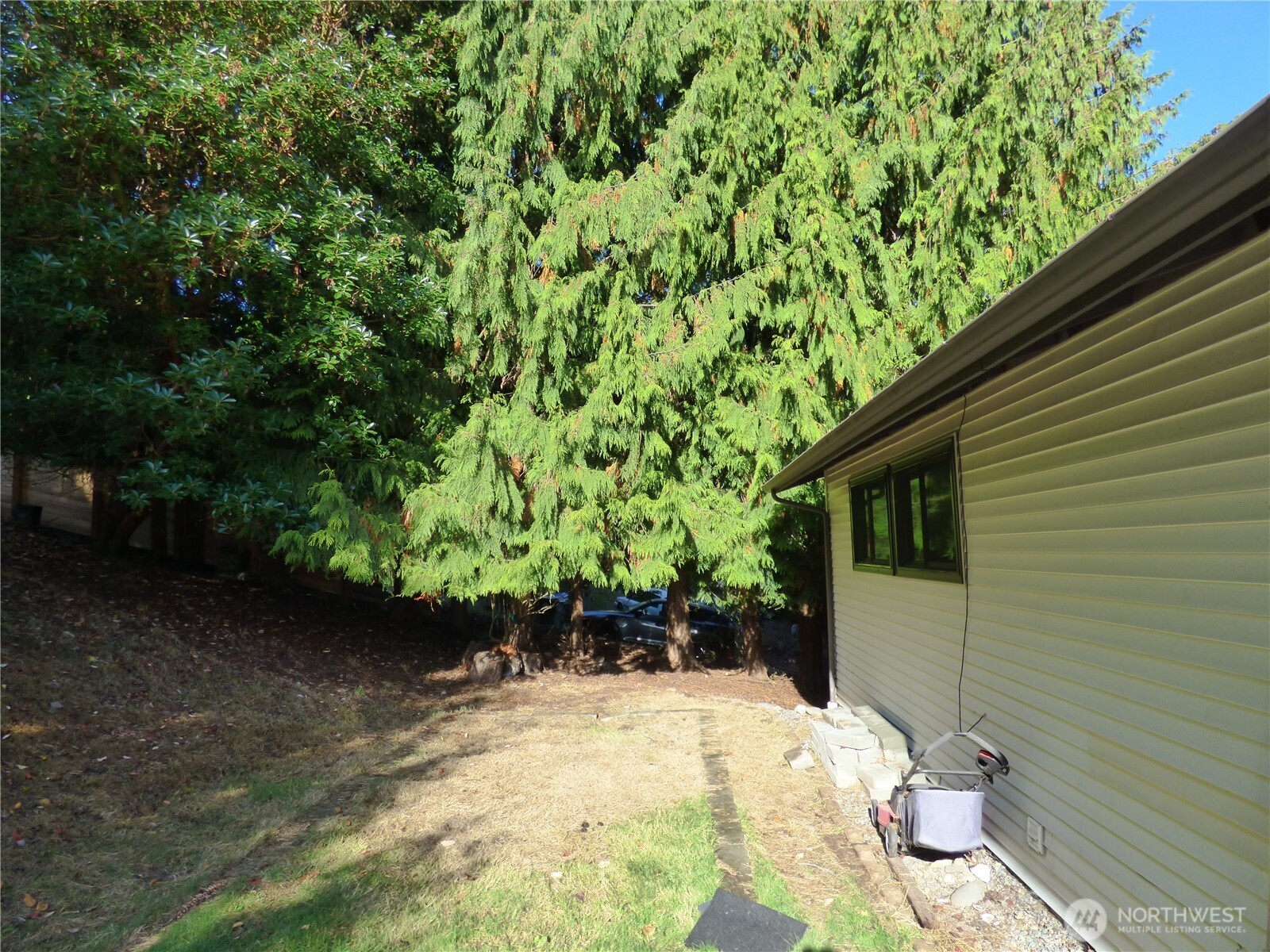 2242 W 12th Street Property Photo 34