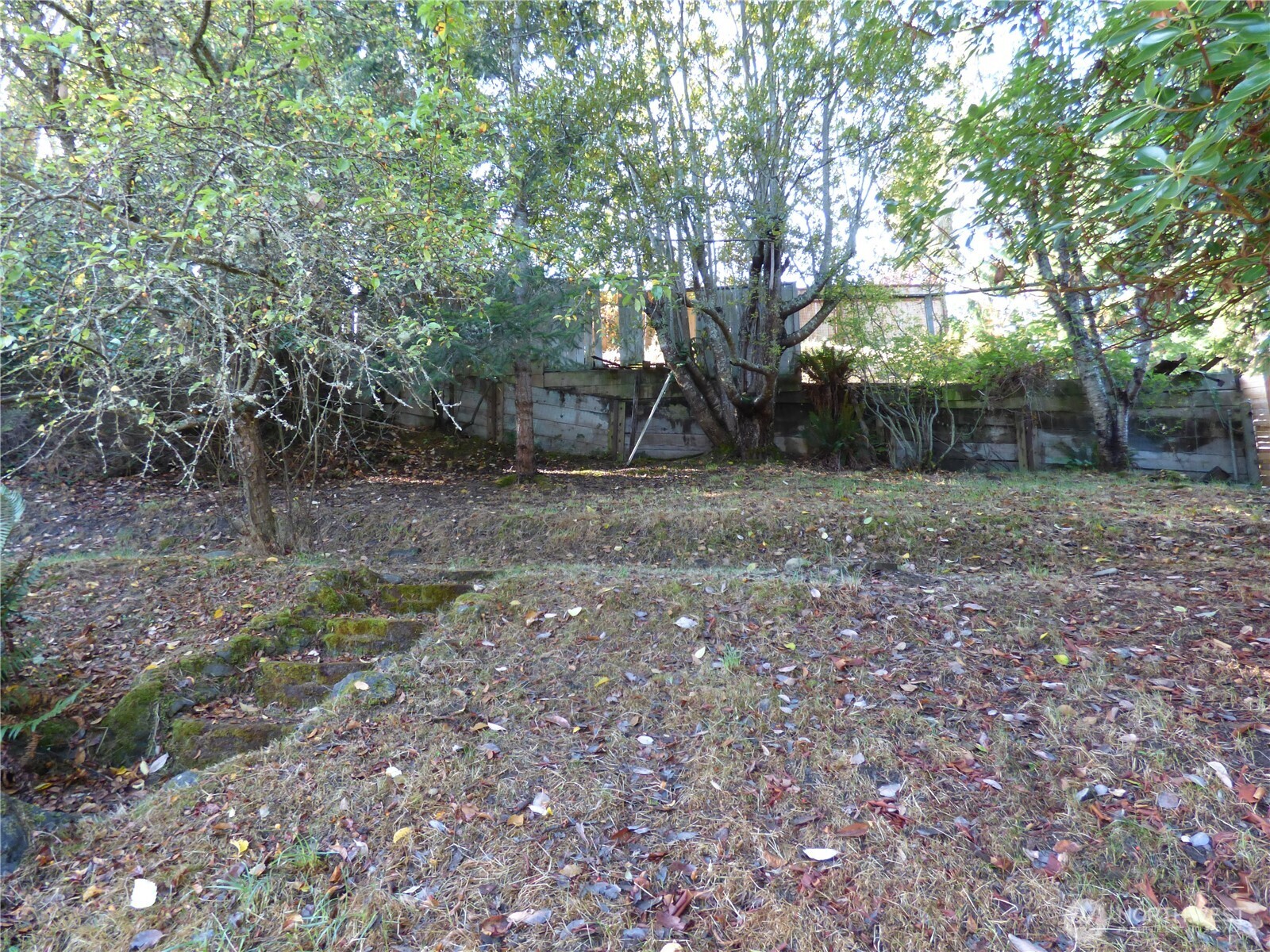 2242 W 12th Street Property Photo 38