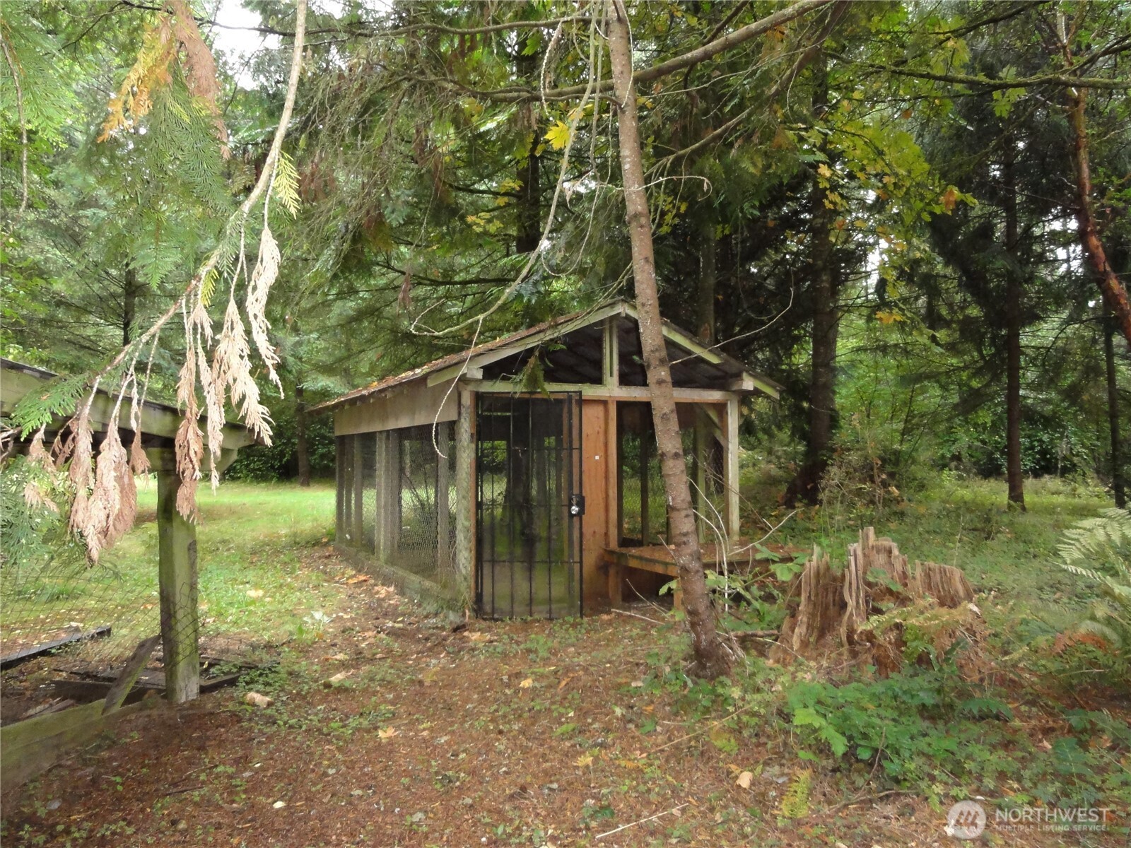 9916 Creviston Drive Property Photo 19