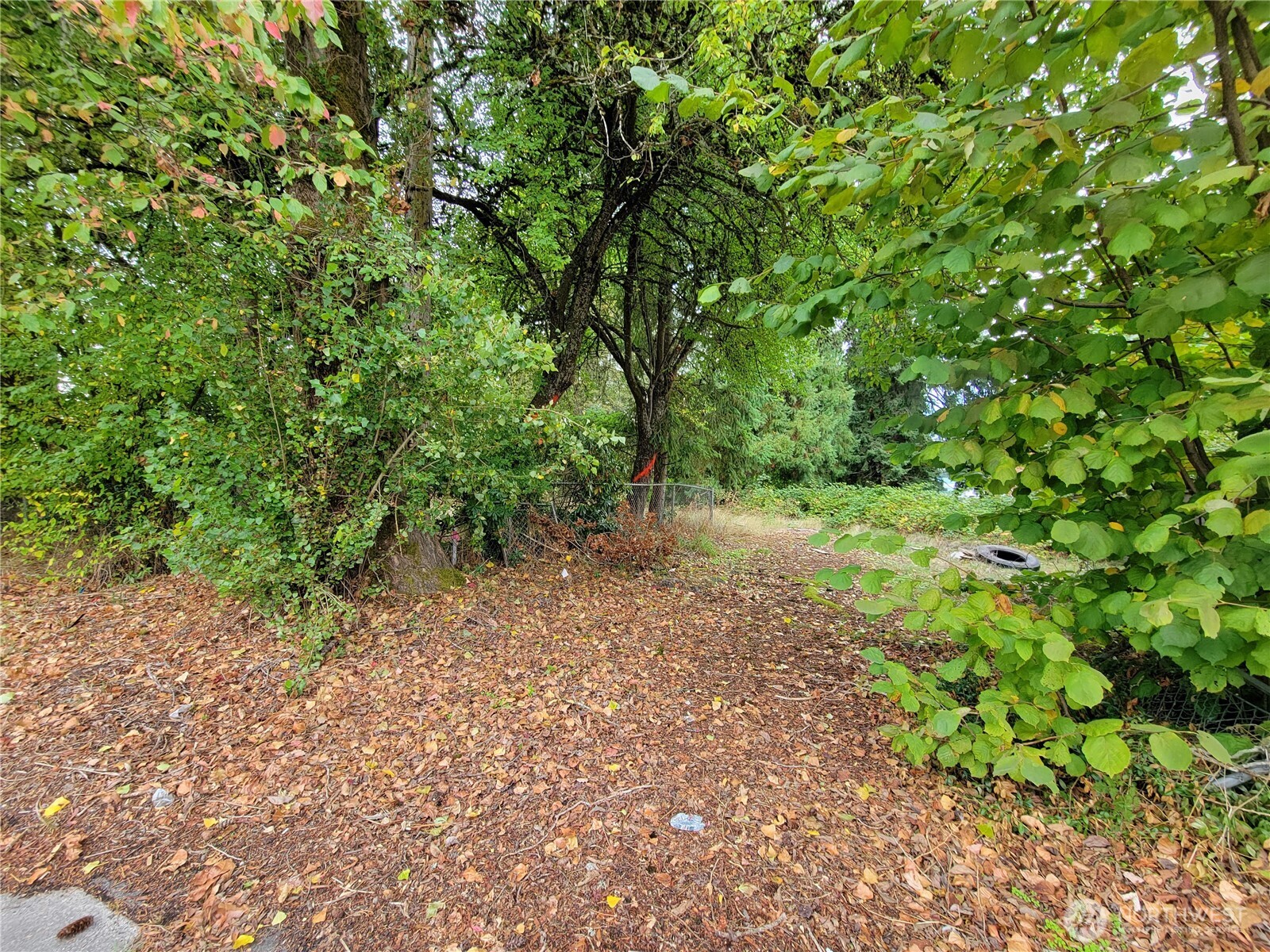 12900 Beverly Park Road Property Photo 11