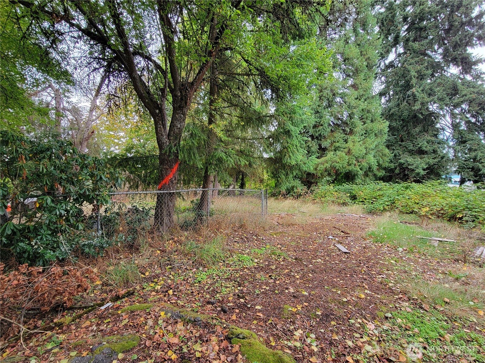 12900 Beverly Park Road Property Photo 14