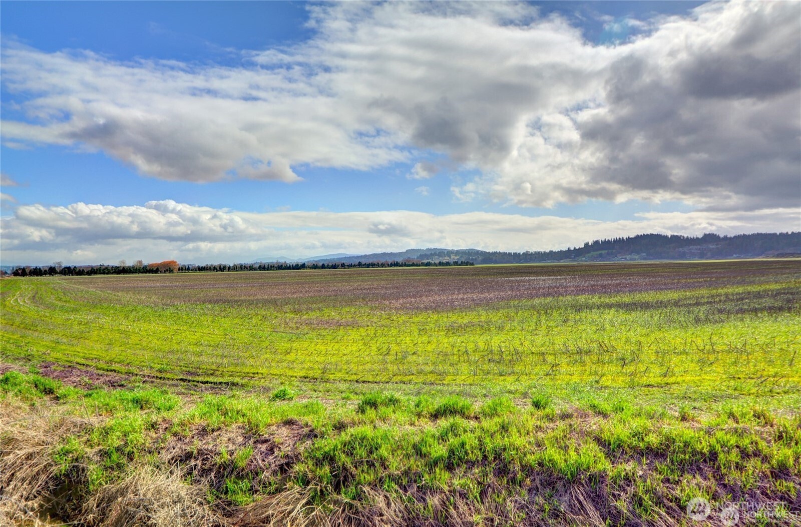 6910 Marsh Road Property Photo 4