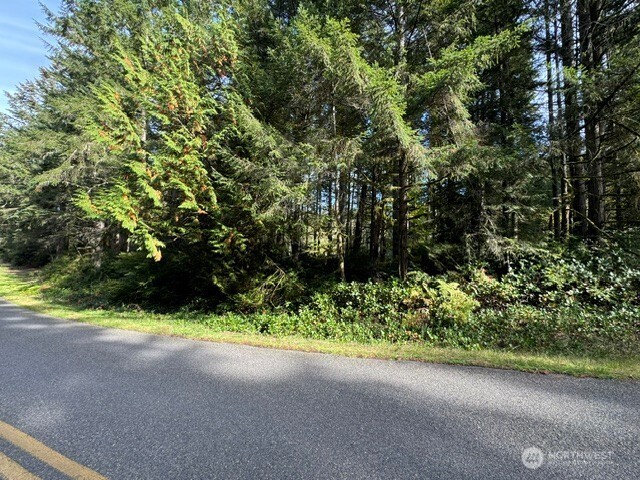 11503 Lake Josephine Avenue Property Photo 3