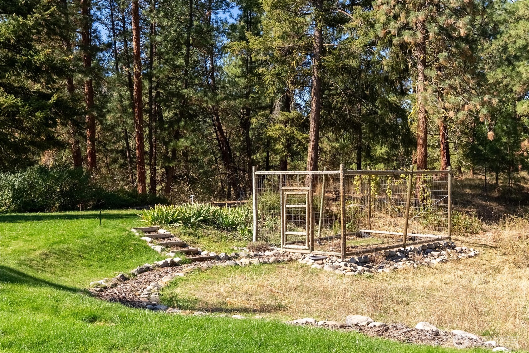 60 Lobos Run Road Property Photo 37