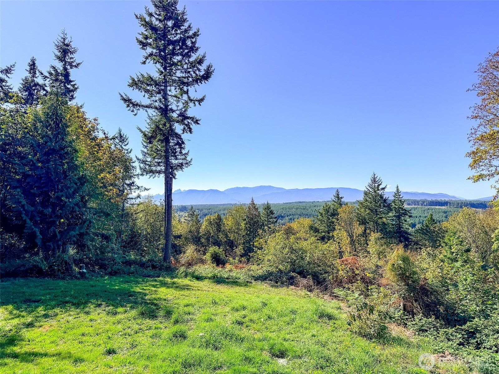 890 No Name Road Property Photo 3