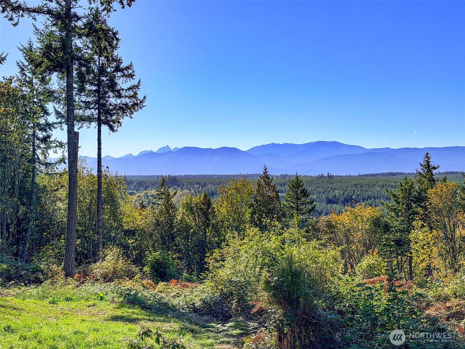 890 No Name Road Property Photo 24