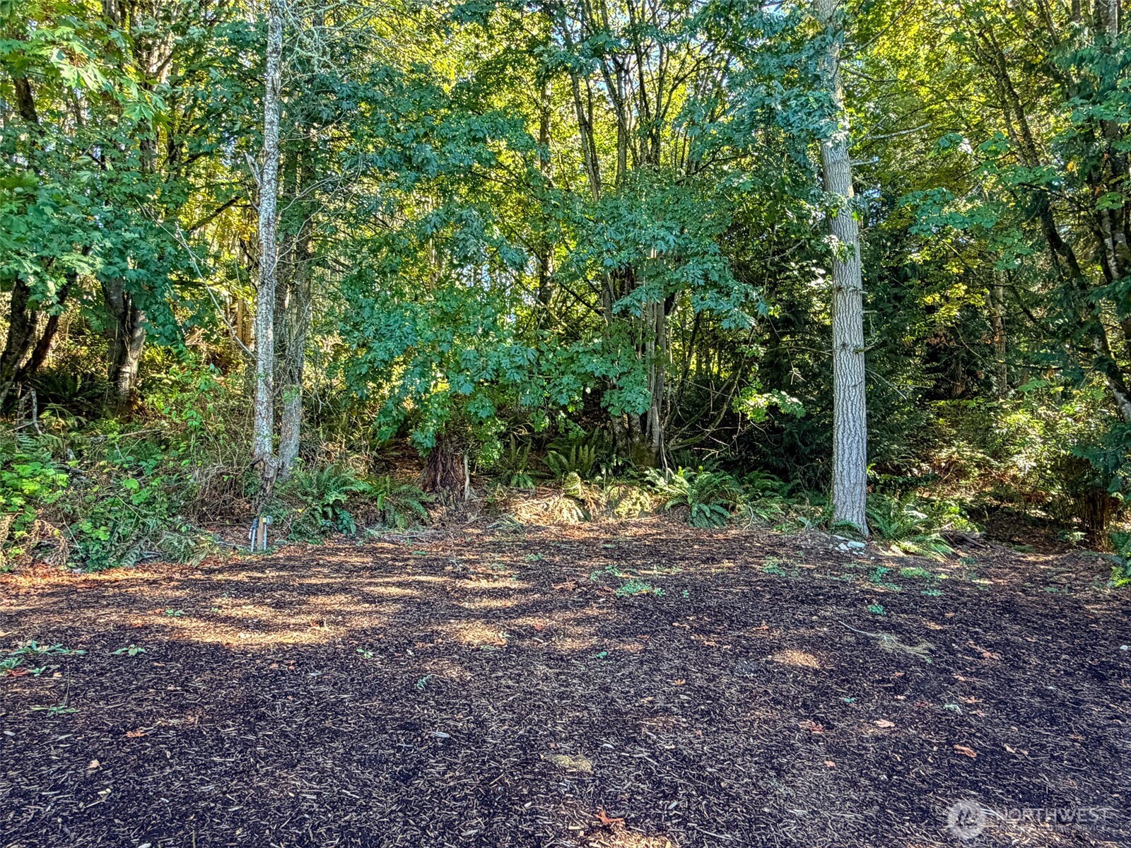 890 No Name Road Property Photo 28