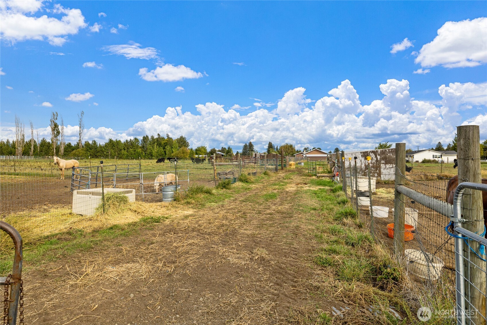 2421 Judge Ronald Road Rd Property Photo 28