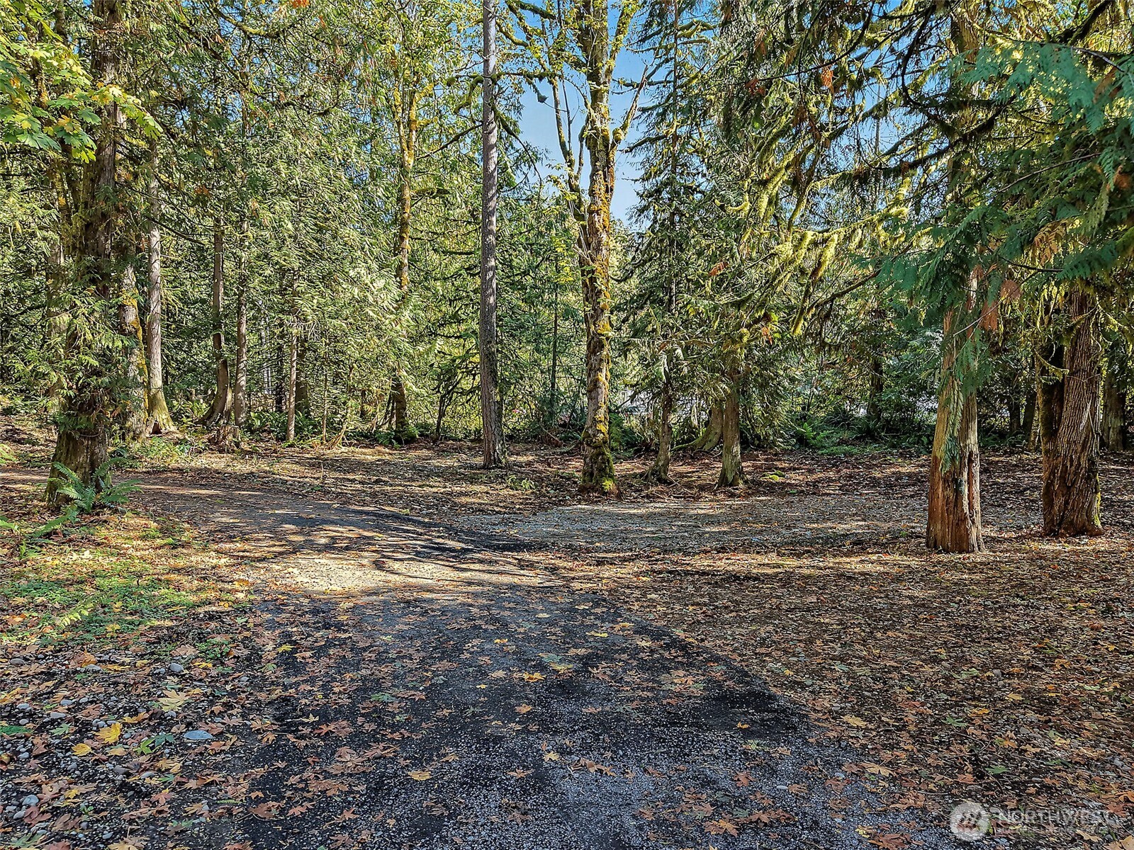 24115 Se 374th Street Property Photo 31