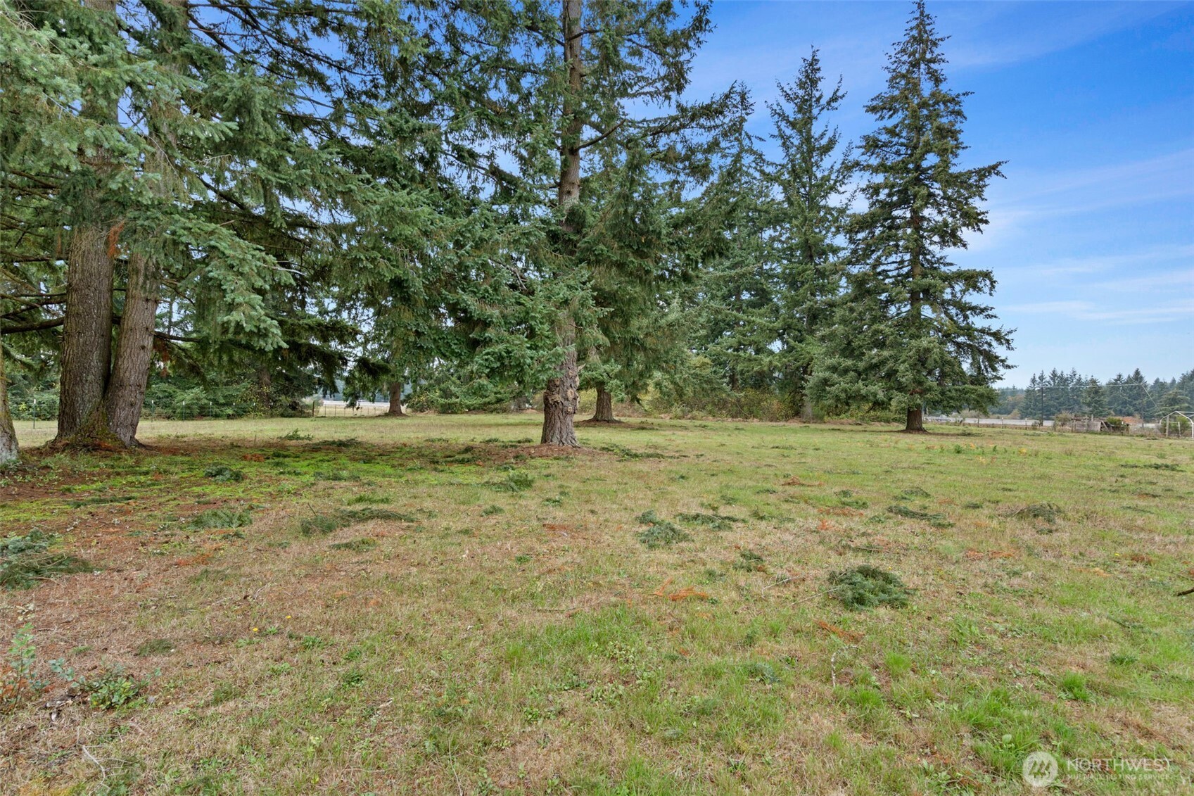 16621 Leitner Road Property Photo 35