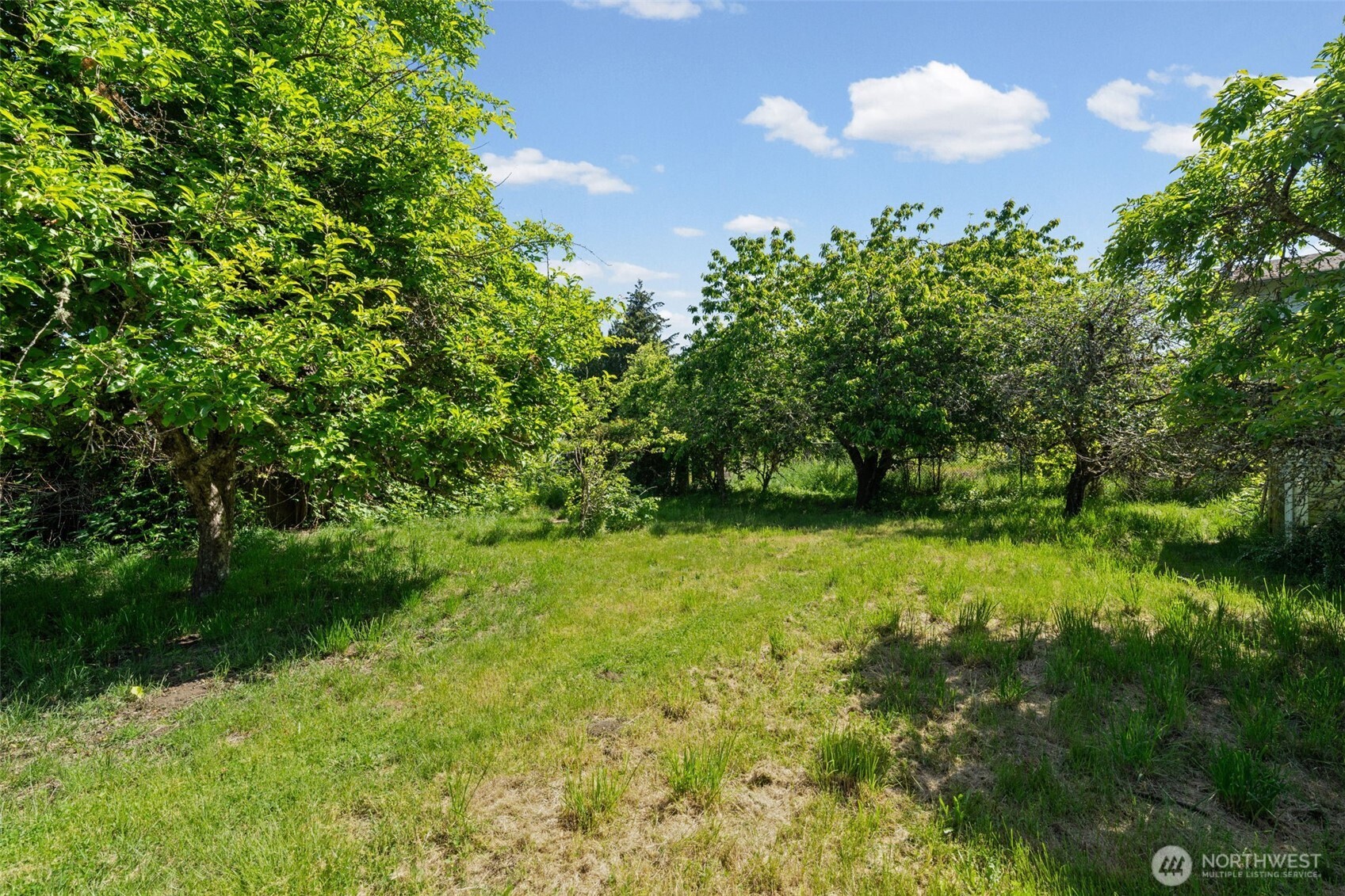 916 Bowker Street Property Photo 30