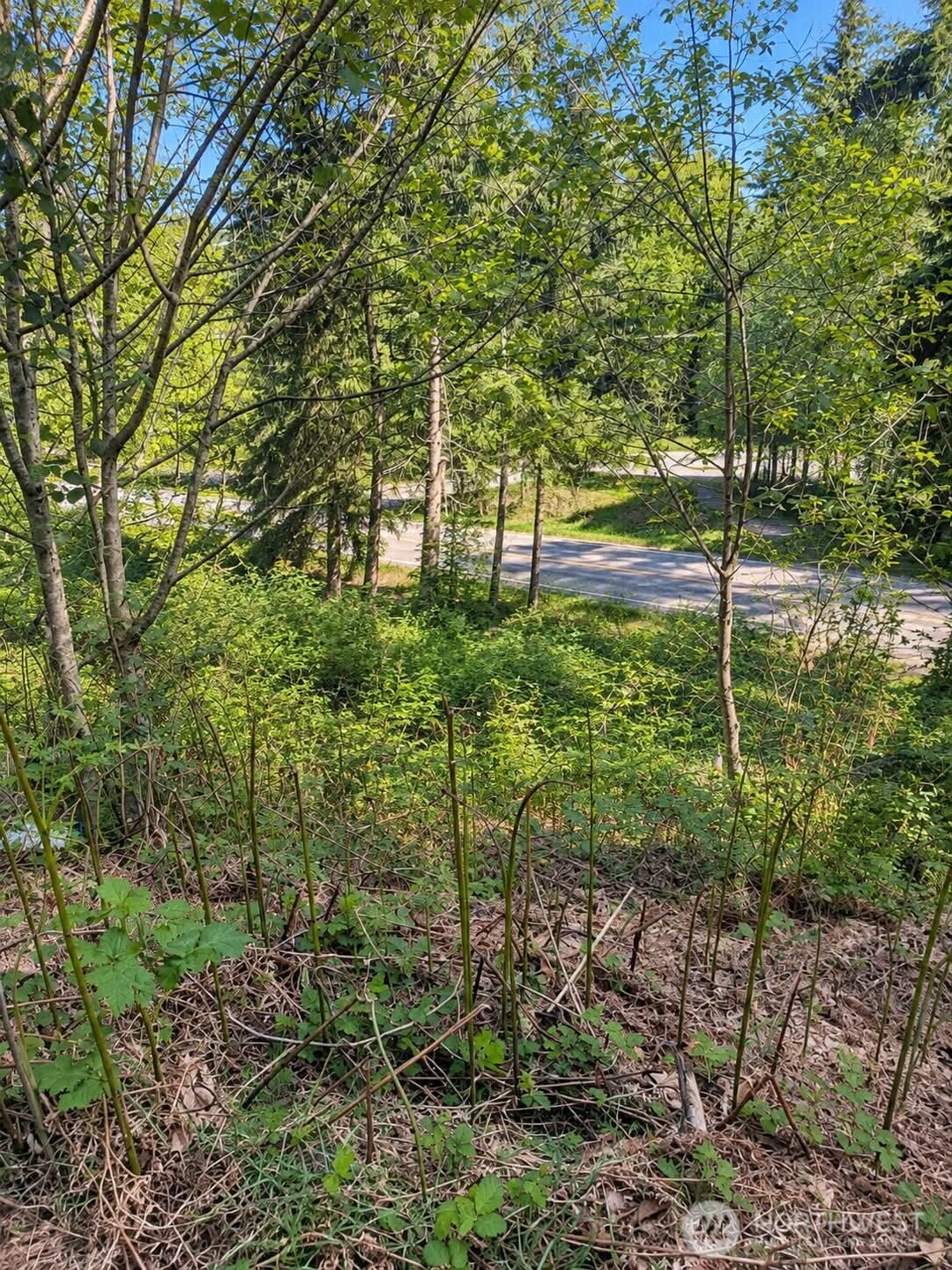 32933 Se Kent Kangley Road Property Photo 2