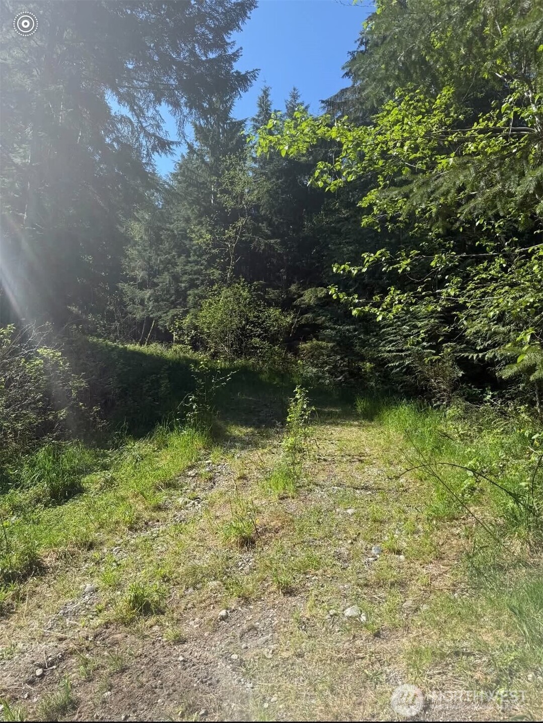 32933 Se Kent Kangley Road Property Photo 10