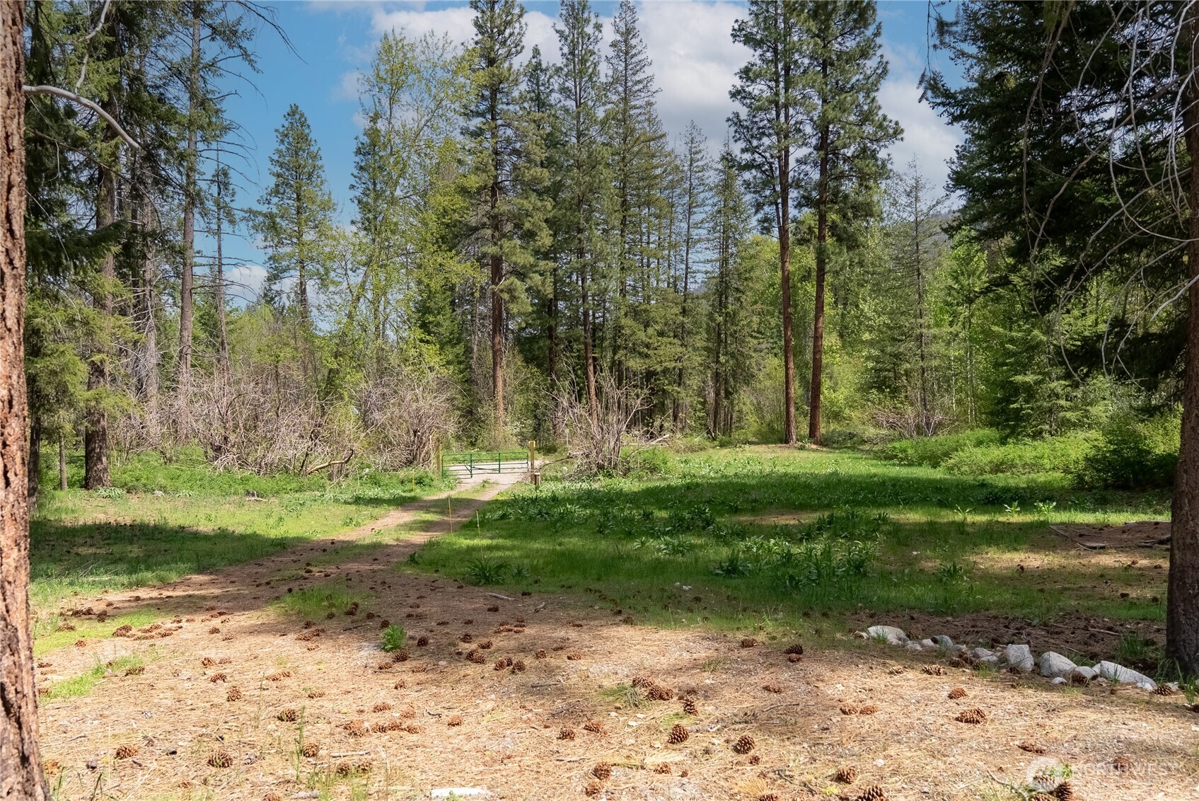 211 W Buttermilk Creed Road Property Photo 31
