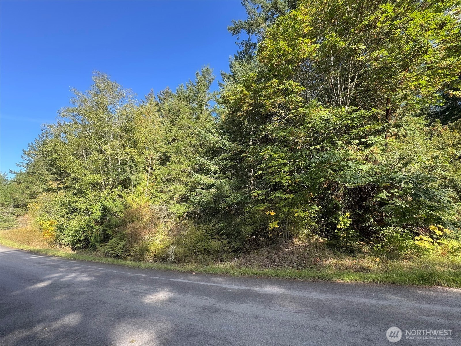 0 White Deer Lane Property Photo 12