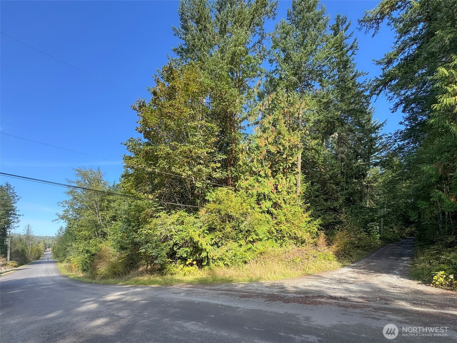 0 White Deer Lane Property Photo 13