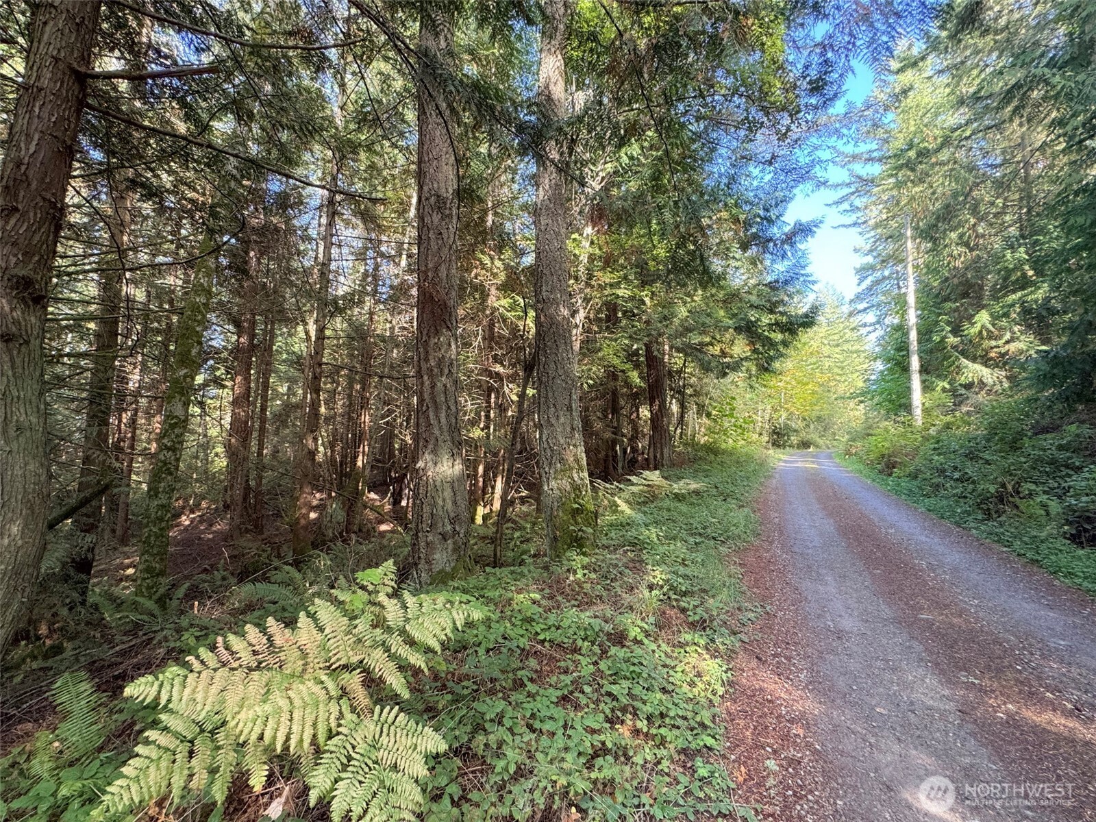 0 White Deer Lane Property Photo 15