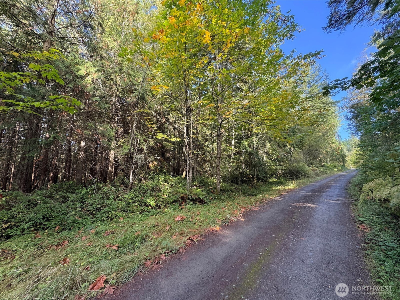 0 White Deer Lane Property Photo 17