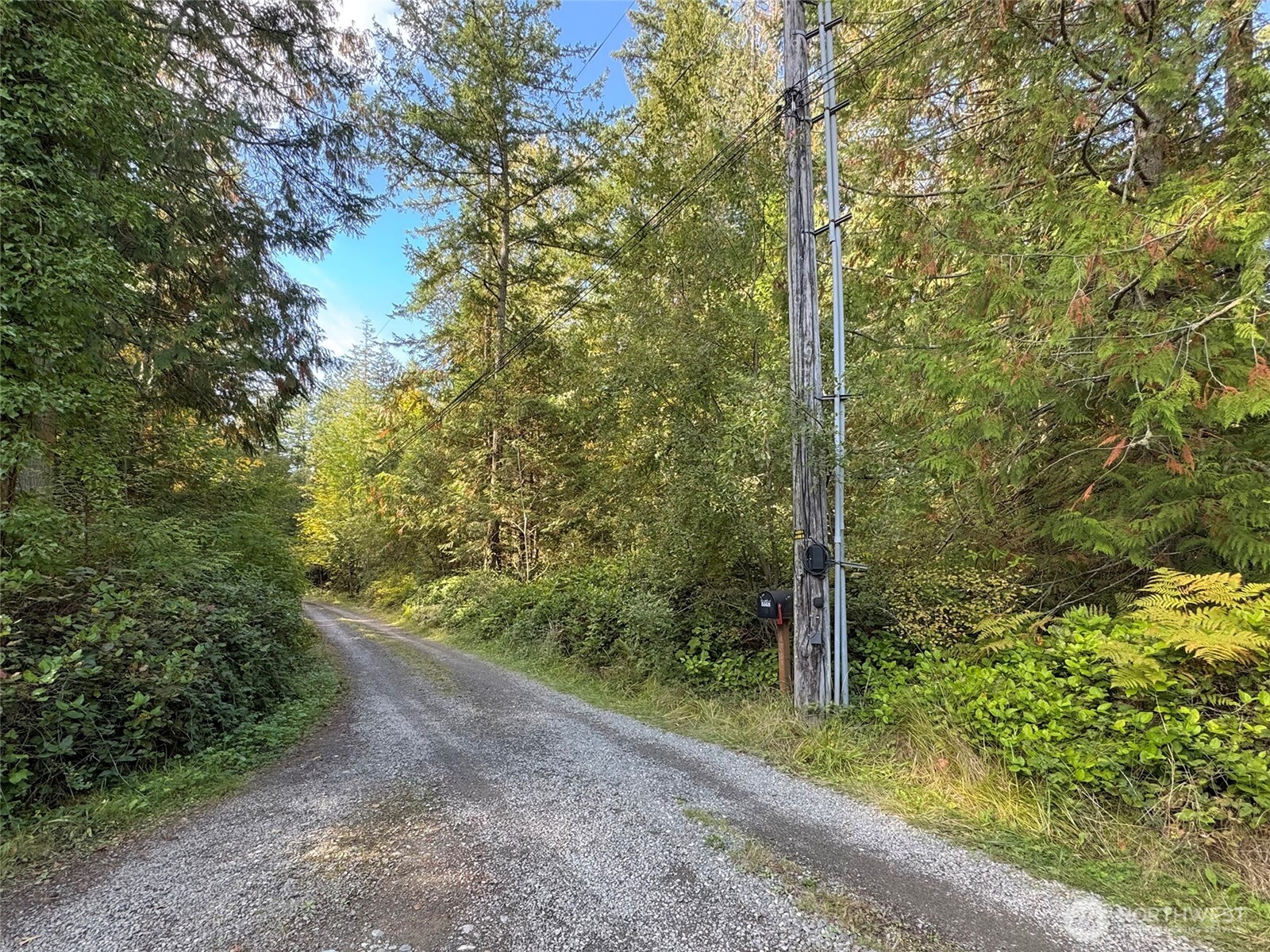 0 White Deer Lane Property Photo 19