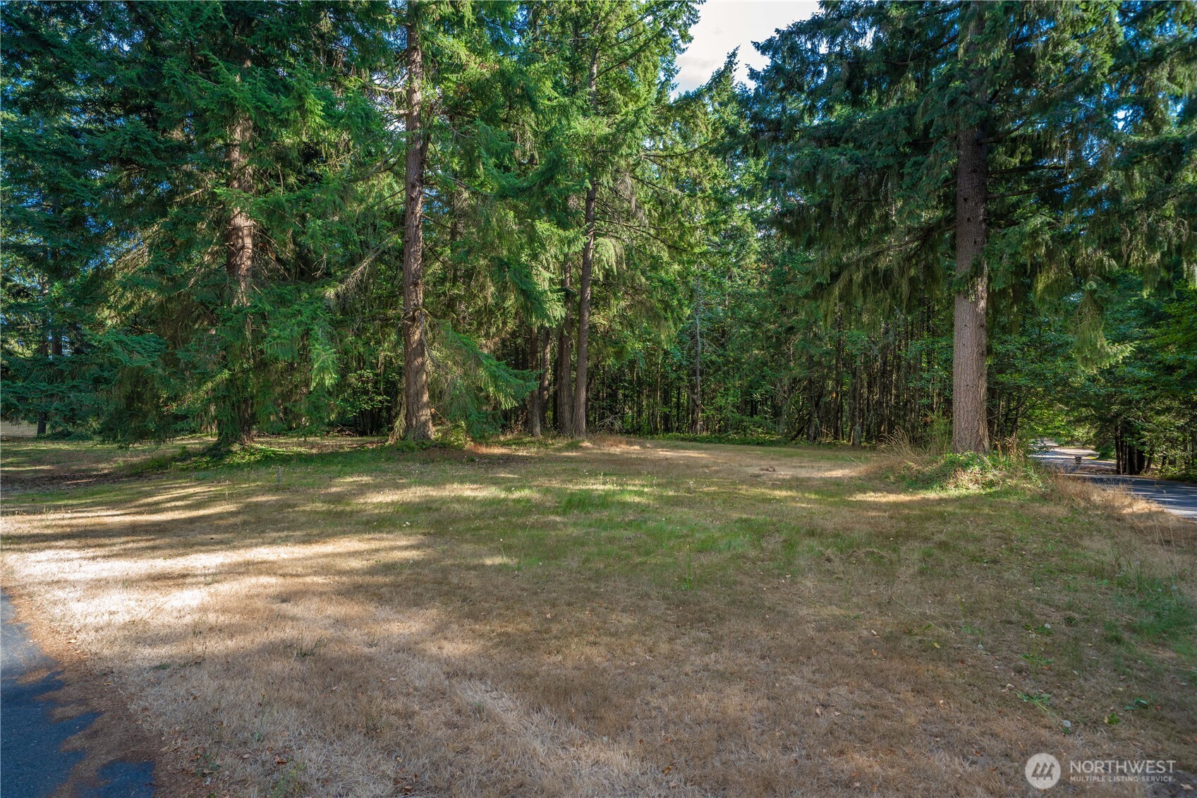 14821 134th Ave E Property Photo 7