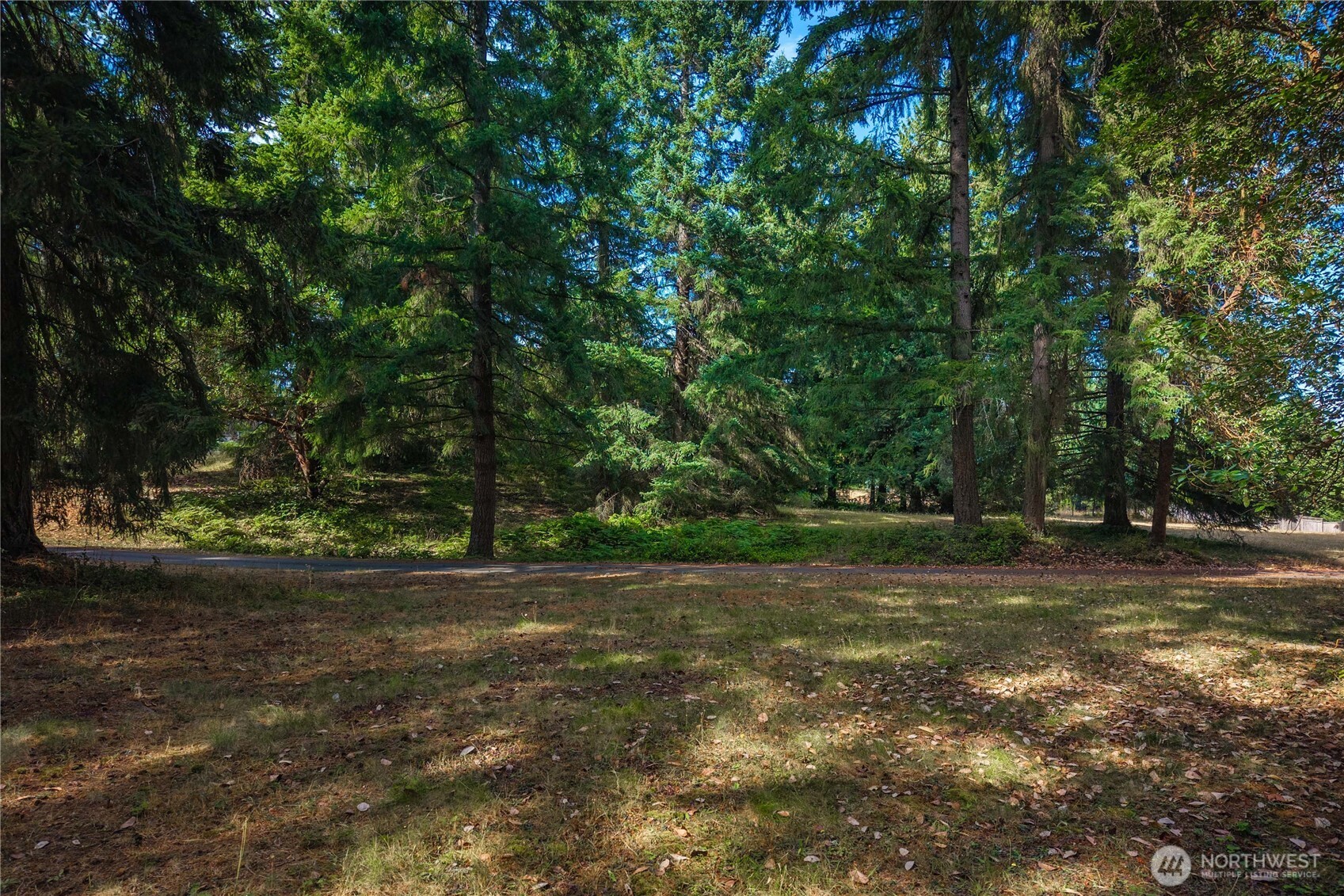 14821 134th Ave E Property Photo 9