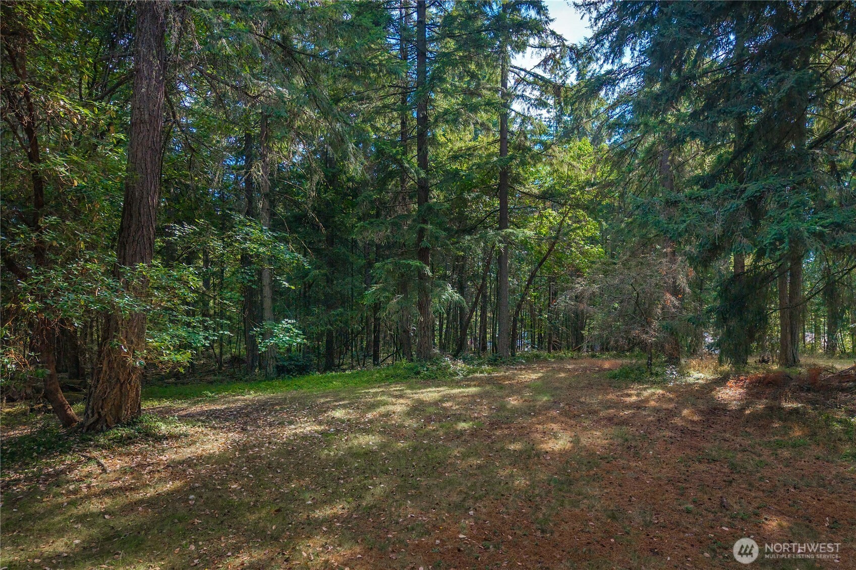 14821 134th Ave E Property Photo 12