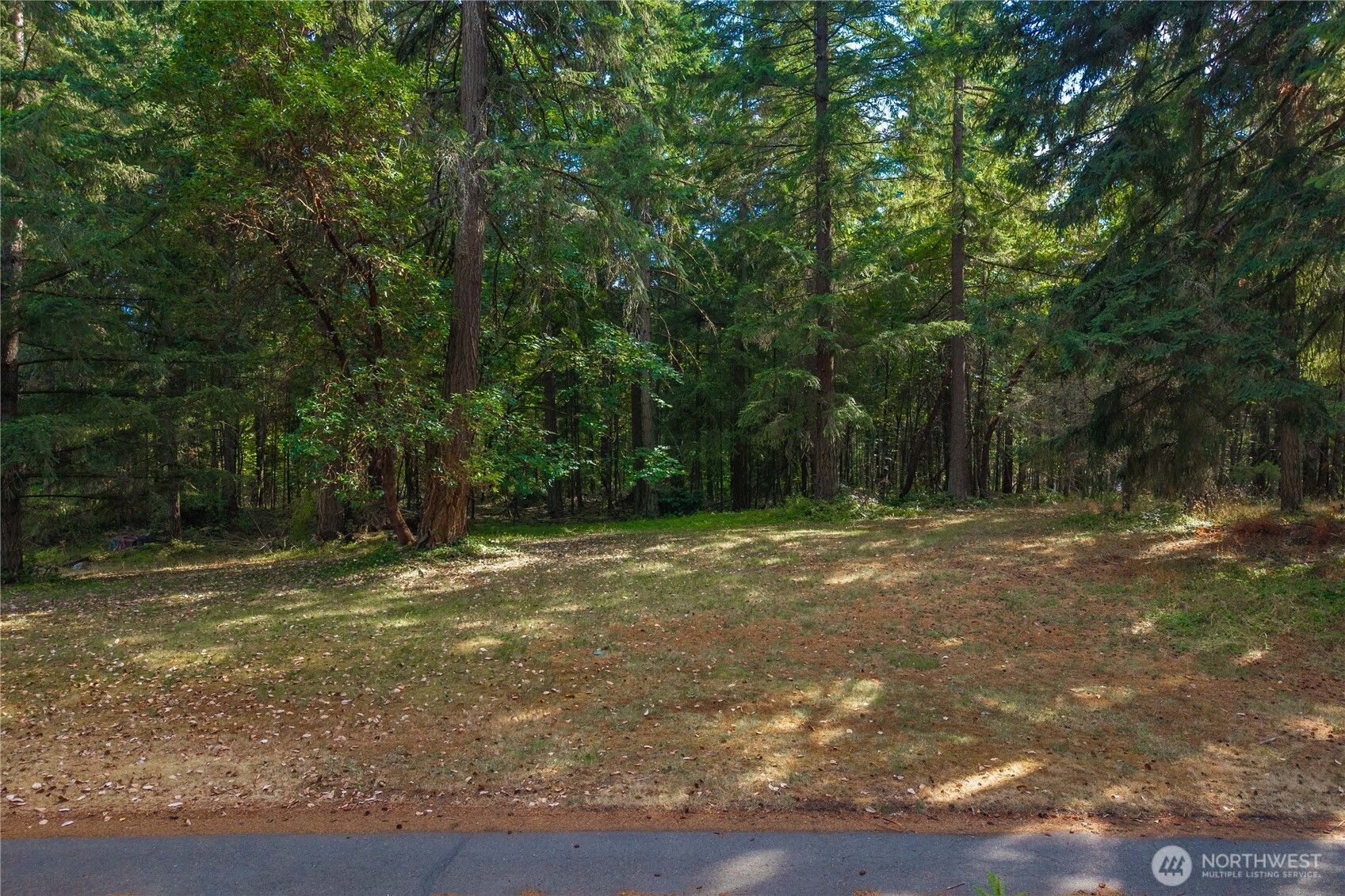 14821 134th Ave E Property Photo 15
