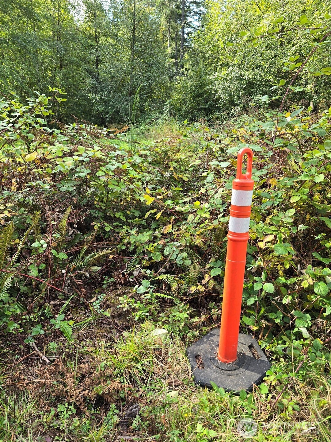 13332 Reeder Road Property Photo 4