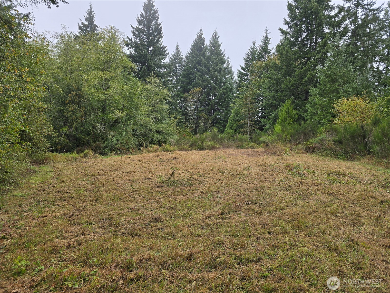 13332 Reeder Road Property Photo 8