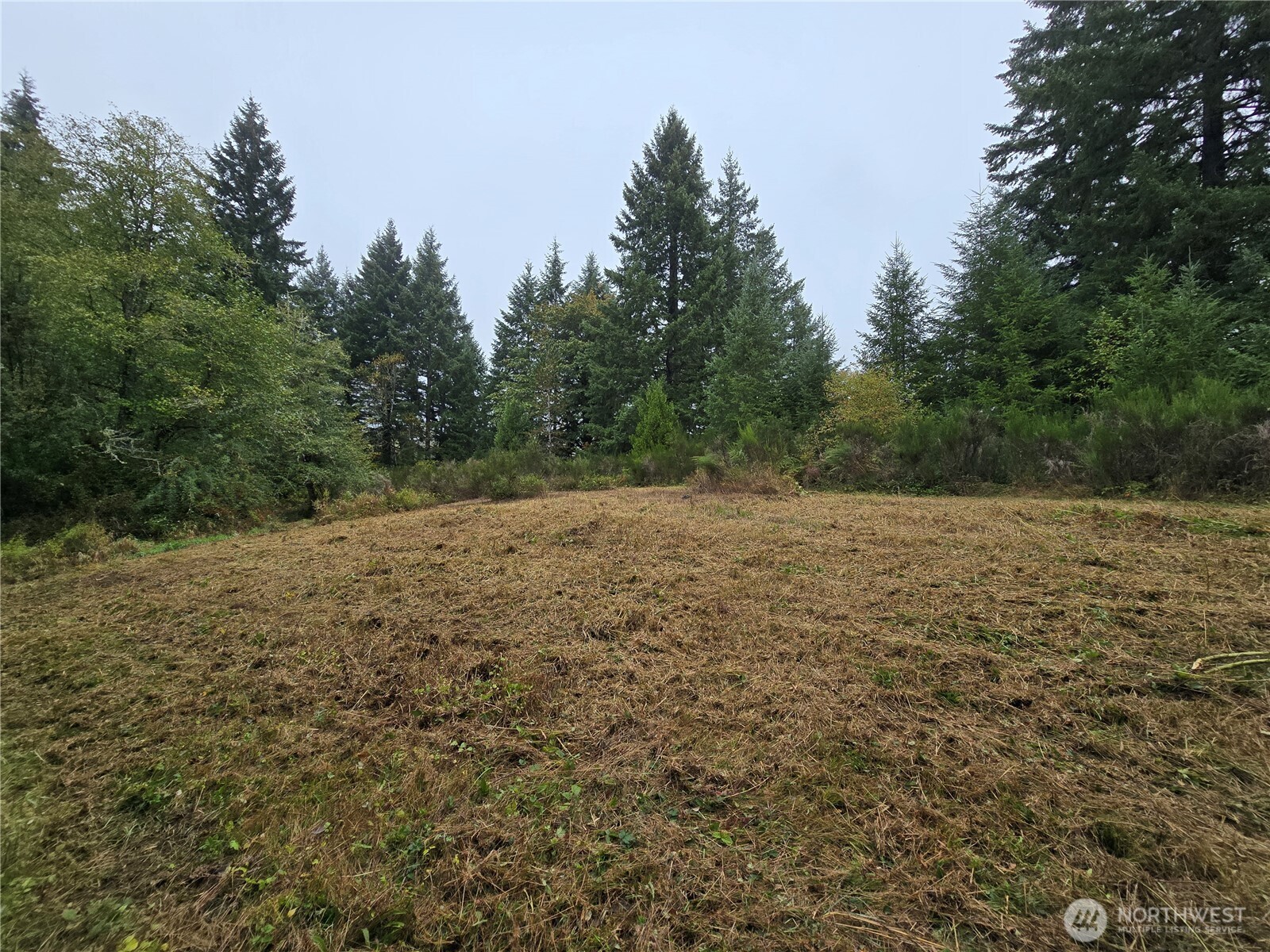 13332 Reeder Road Property Photo 10