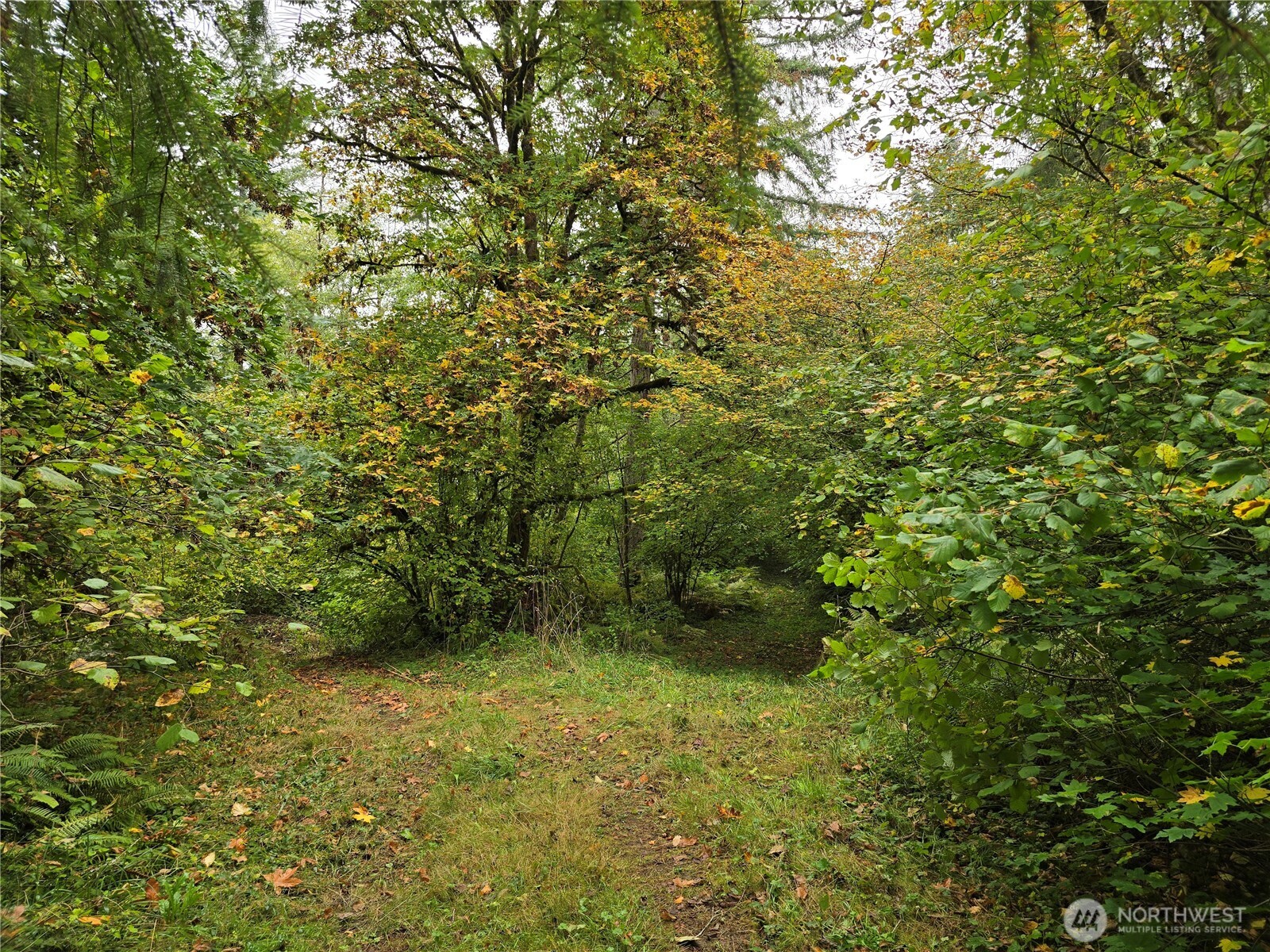 13332 Reeder Road Property Photo 11